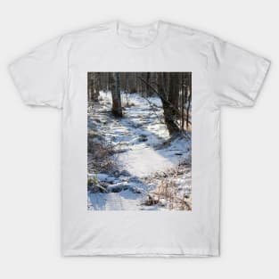 Winter T-Shirt